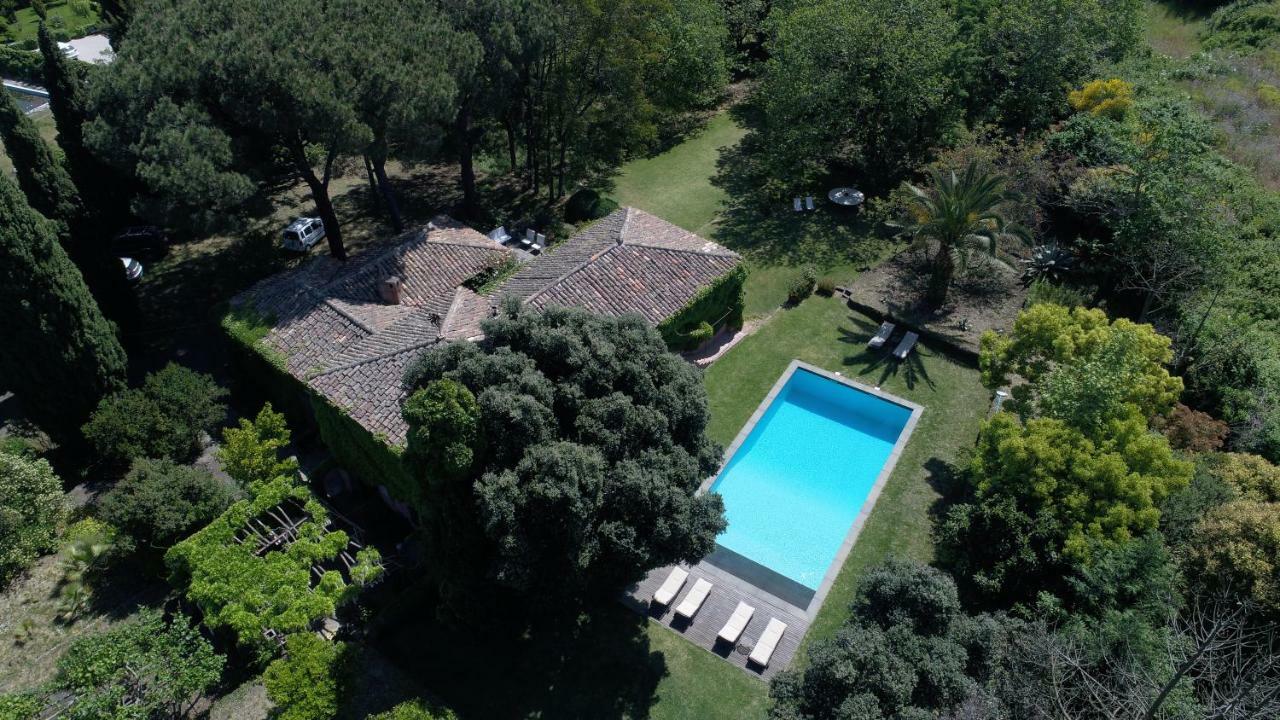 Villa Edera Viagrande Extérieur photo